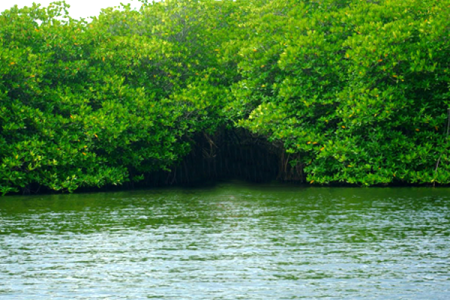 Timeless Heritage | Wildlife Encounters | Scenic Highlands | Coastal Bliss