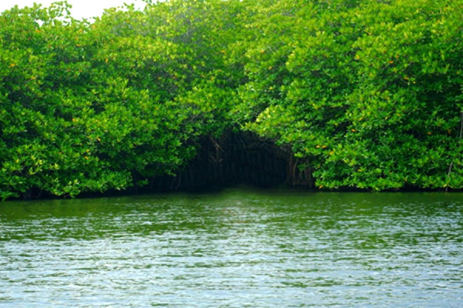 Timeless Heritage | Wildlife Encounters | Scenic Highlands | Coastal Bliss