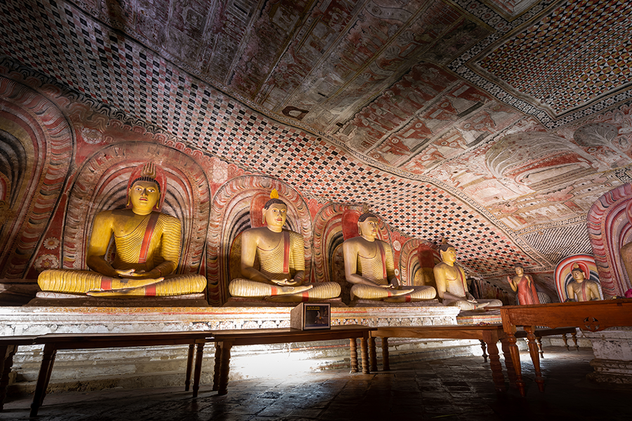 Dambulla Cave Temples & Cultural Discovery Day Tour