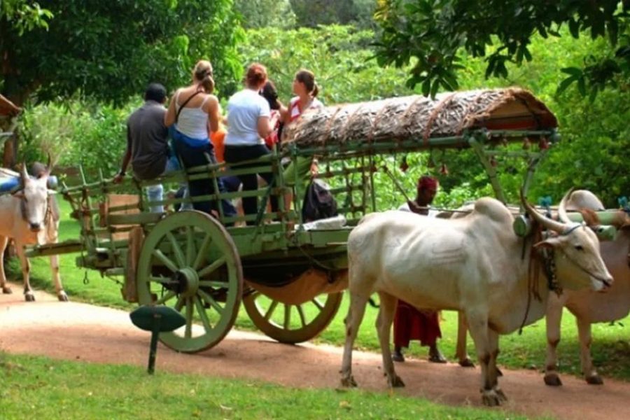 Hiriwadunna Village & Nature Walk Experience