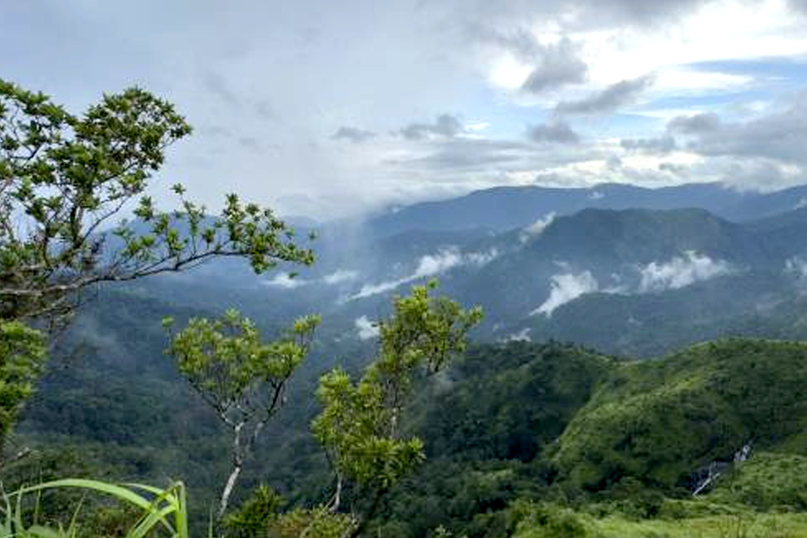 Kitulgala Adventure Day (Rafting & Rainforest Hike)