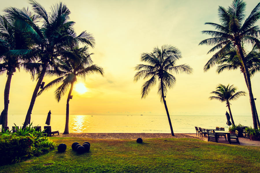 Whale Watching in Mirissa (Seasonal: Nov–Apr)