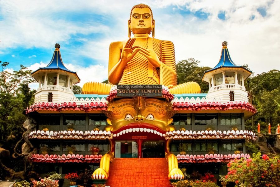 Serenity Wellness Escape 8 Days / 7 Nights